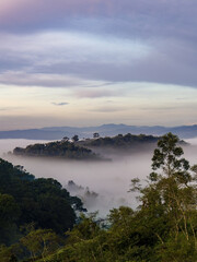 The low thick mist at sunrise partially covers the forest of the eastern Andean mountains of central Colombia near the Iguaque mountain.