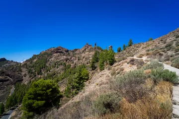 Foto op Canvas Gran Canaria. Hiking to the Roque Nublo Rock Formation. © Sharidan