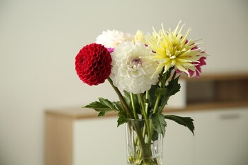 Bouquet of beautiful Dahlia flowers in vase at home