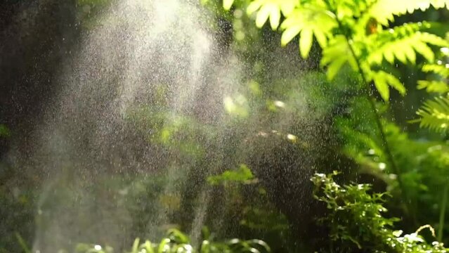 Water mist sprayer to hydrate plants in the morning