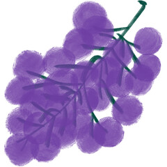 Purple Grape illustration