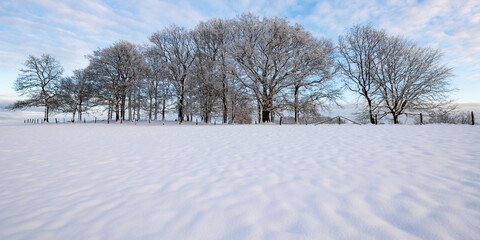 Winter wonderland panorama after snowfall in Iserlohn Sauerland Germany. Sunset and warm evening light with silhouettes of trees in natural scenic landscape and blue sky over snow covered meadow.