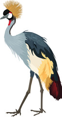 Grey Crowned Crane also known as African crowned crane, golden crested crane, golden-crowned crane, East African crane, East African crowned crane, African crane, Eastern crowned crane. Illustration. - obrazy, fototapety, plakaty