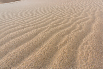 Gran Canaria Maspalomas. Shot from the Dunes with Sand and Sun and the Beach.