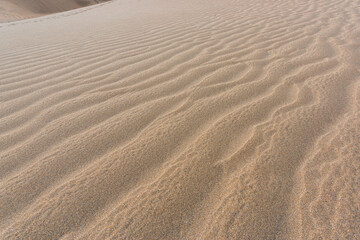 Gran Canaria Maspalomas. Shot from the Dunes with Sand and Sun and the Beach.