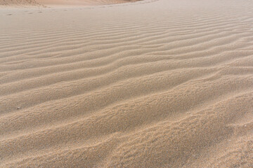 Fototapeta premium Gran Canaria Maspalomas. Shot from the Dunes with Sand and Sun and the Beach.