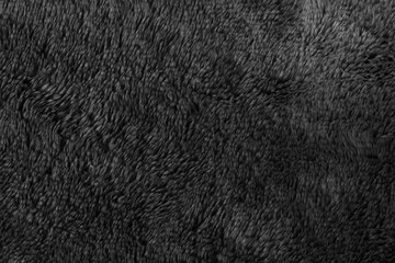 Black fur background texture. dark wool close up