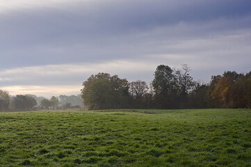 misty autumn morning in the field