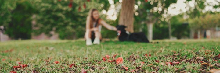 Cute girl with black dog is resting under tree on the lawn. Happy dog rejoices being on walk in the...