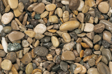 Nature wet sea pebbles background texture. natural aquarium soil. beach pebbles close up