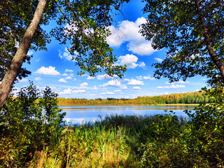 Fototapeta na wymiar Beautiful colorful summer spring natural landscape with a lake in Park surrounded by green foliage of trees in sunlight. Water through the branches of trees