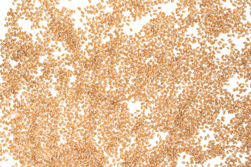 Grains of brown wheat isolated on white background. close up wheat seeds texture