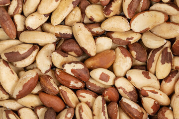 Peeled brazil nut background texture