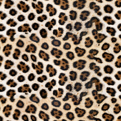 Seamless leopard pattern, leopard skin.