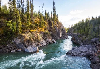 Raamstickers River in Canada © Galyna Andrushko