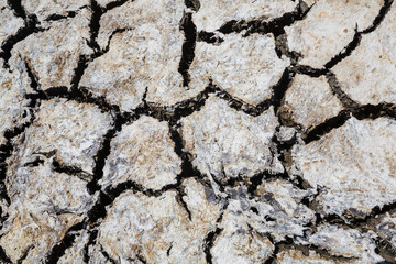 Drought land