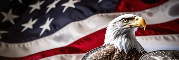  Patriotic American Silver Eagle Dollar Coin with US Flag © Sandris_ua