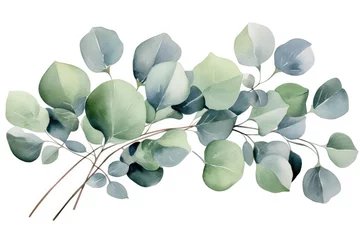 Foto op Plexiglas Eucalyptus branch with green leaves. Watercolor illustration, Watercolor green floral card with silver dollar eucalyptus leaves and branches isolated on white background, AI Generated © Iftikhar alam