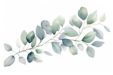 Eucalyptus branch with green leaves isolated on white background, Watercolor green floral card with silver dollar eucalyptus leaves and branches isolated on white background, AI Generated