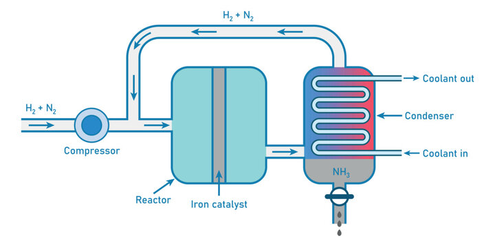 The Haber process. Scientific resources for teachers and students.