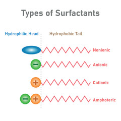 types of surfactants. Head and tail of hydrophilic. Nonionic, anionic, cationic and amphoteric. Scientific resources for teachers and students.