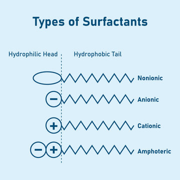 types of surfactants. Head and tail of hydrophilic. Nonionic, anionic, cationic and amphoteric. Scientific resources for teachers and students.