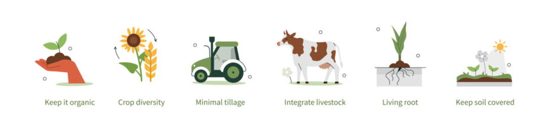  Regenerative agriculture and holistic management concept illustration. Collection of sustainable farming techniques to protect health and vitality of farm soil. Vector illustrations set. © Irina Strelnikova