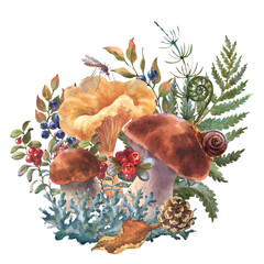 Obraz na płótnie Canvas Watercolor illustration forest chanterelle mushrooms with blueberry bushes, forest plant, cones, mosquito and spruce branch. Hand drawn illustration, isolated on a white background.