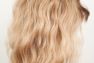 Fototapeta premium Natural looking shiny hair, fair blonde curls isolated on white background with copy space