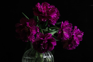 bouquet of dark red lilac tulips in glass vase on dark background. flower bouquet in vase on table. Gift interior decoration. florist, decorator. Flower shop.