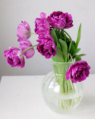 Close up of bouquet of dark red lilac tulips in glass vase on light background. flower bouquet in vase on table. Gift interior decoration. florist, decorator. Flower shop.