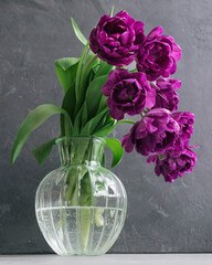 bouquet of gray red lilac tulips in glass vase on dark background. flower bouquet in vase on table. Gift interior decoration. florist, decorator. Flower shop.