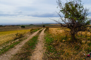 Fototapeta na wymiar paesaggio rurale