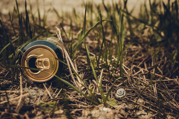 lattina di birra nell'erba