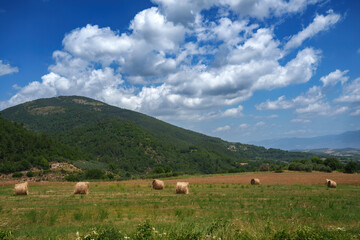 Naklejka na ściany i meble Rural landscape in Umbria near Spoleto
