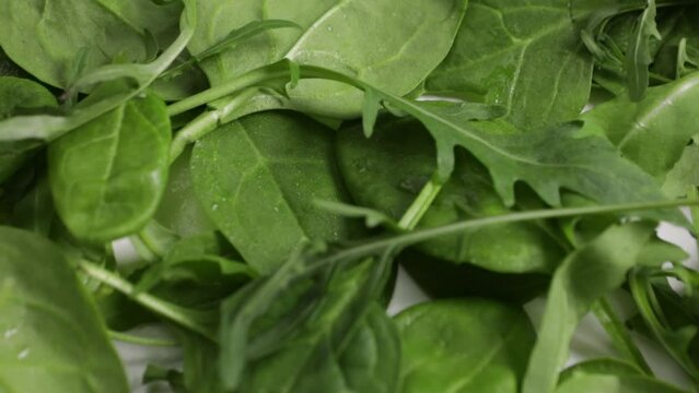 spinach arugula leaves for salad on light surface