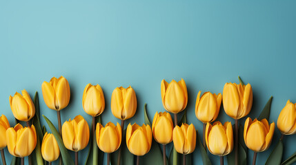 Obraz premium yellow tulips on a color background, top view, spring bouquet