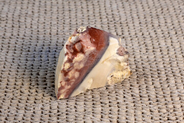 Pelitic Schist Rock on beige knitted fabric Background