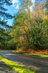 Late Autumn Landscape 2