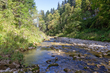 mountainous terrain, shallow river, sunny day, autumn walks in the bosom of nature, panorama of the area.