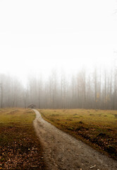 Finnish national park Koli in autumn