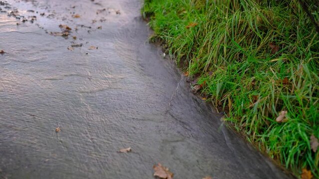 Regenwasser l&auml;uft ab auf Asphalt 