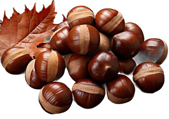 the Nutty Code: Beautiful Nuts on a Clear Canvas