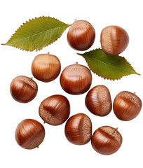 the Nutty Code: Beautiful Nuts on a Clear Canvas