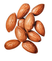 the Nutty Code: Beautiful Nuts on a Clear Canvas