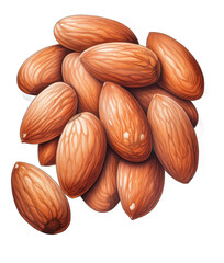 the Nutty Code: Beautiful Nuts on a Clear Canvas