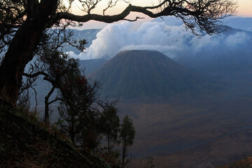 The beauty of mount Bromo in the tree framing