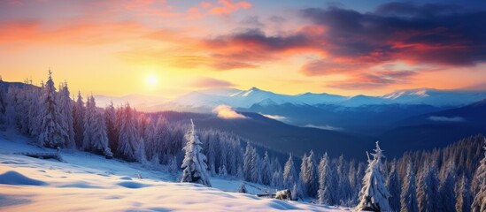 Winter landscape with fir trees in the snow at evening view. AI generated image