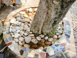 A very simple house garden decoration that pot with mosaic pattern has many rocks around big tree