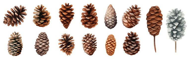 Watercolor Pine Cone Illustration Collection - obrazy, fototapety, plakaty